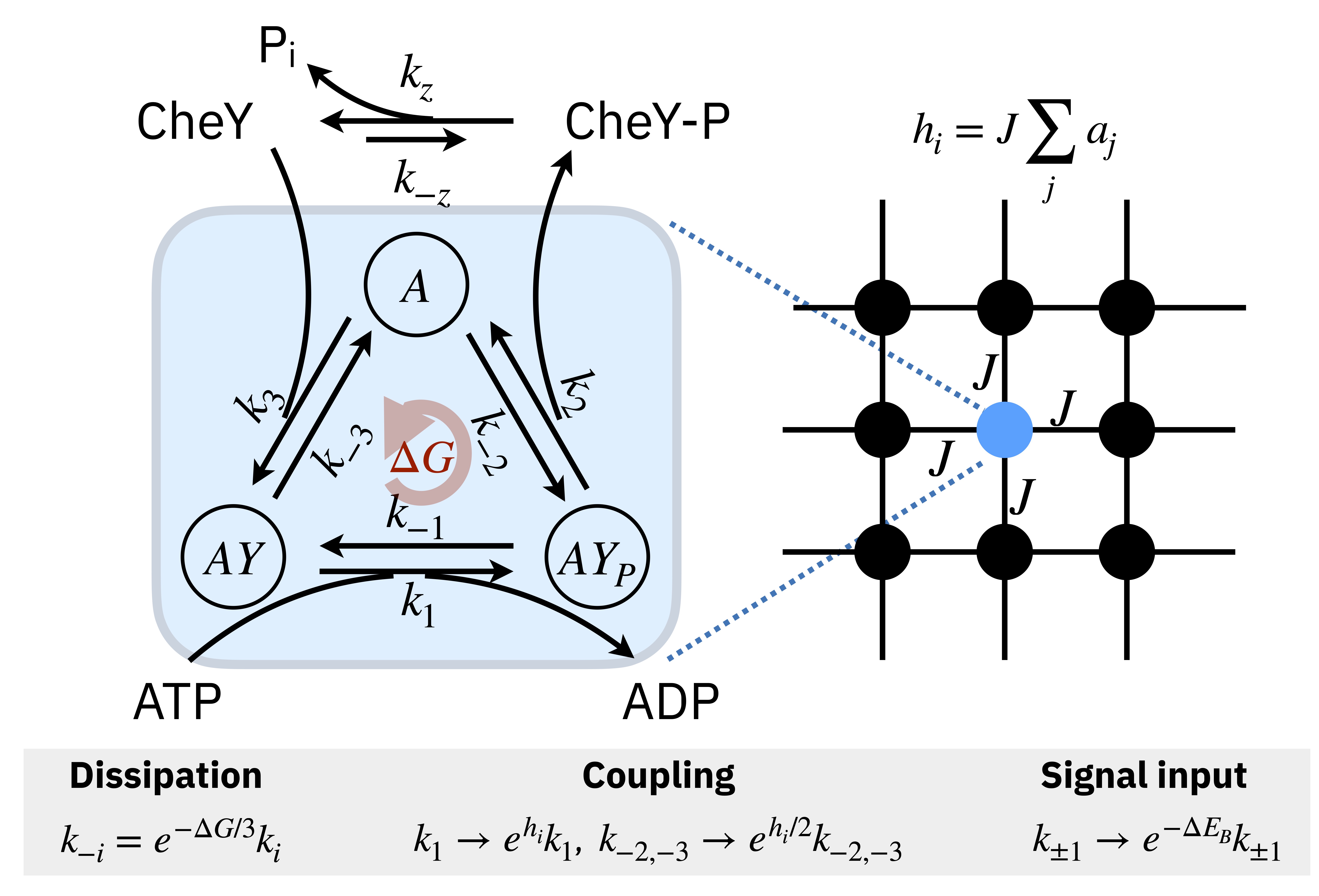 LatticeModel
